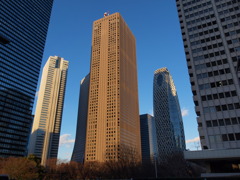 都会