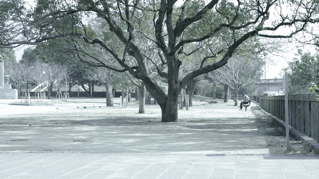 昼下がりの公園