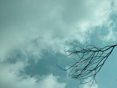 空色