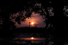 夕日