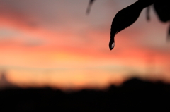 雨上がりの夕焼け