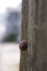 雨待ち