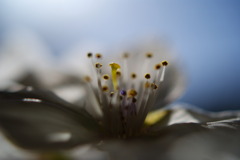 朝（あくび）