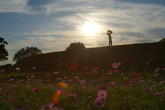 夕日の中に