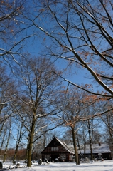 _DSC4034A