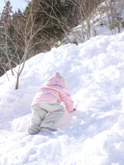 雪うさぎ