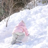 雪うさぎ