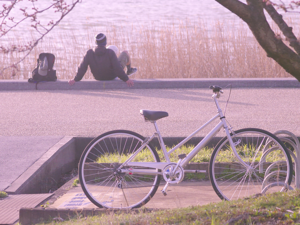 春景