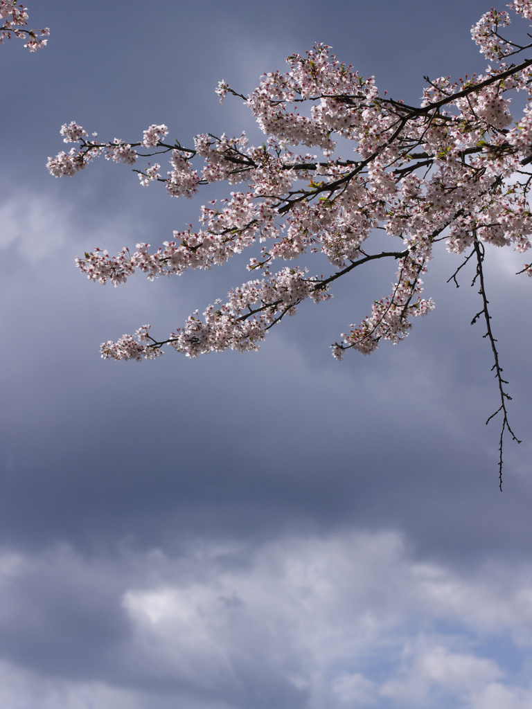 雲の切れ間から