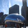 The Bean