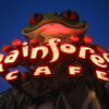Rainforest Cafe