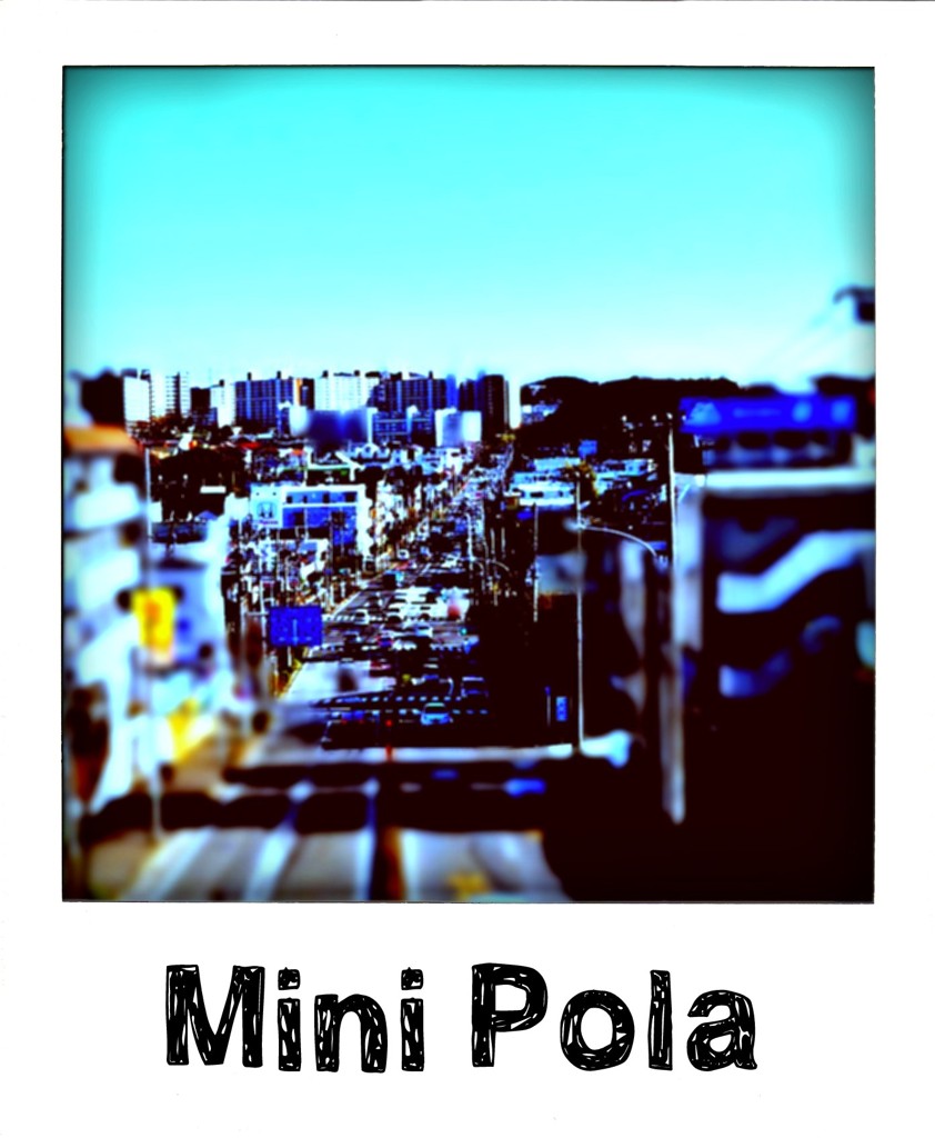 pola7