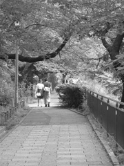 夏、始まる
