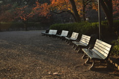 Benches