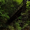 森にかかる橋