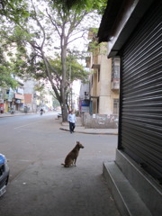 Bangalore