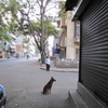 Bangalore