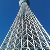 12/23のスカイツリー