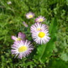 SN3J0252