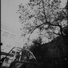 0003p