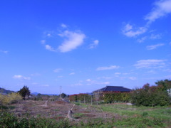 晴天の畑から