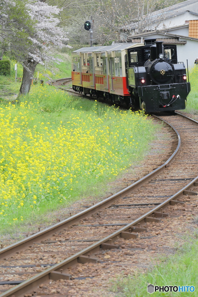 小湊鉄道レポート