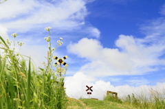 空の踏切