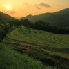 里山の朝