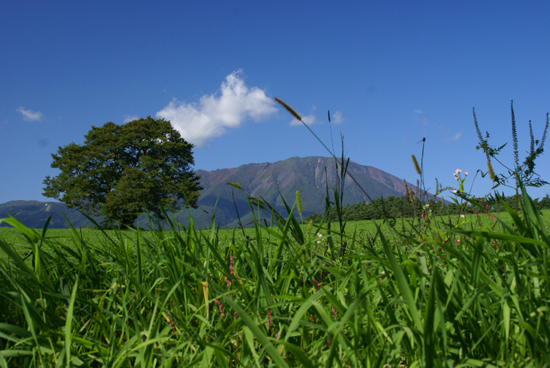 夏の岩手山