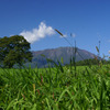 夏の岩手山