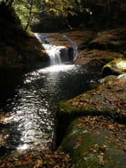 落葉の小滝