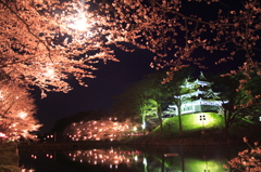 夜桜と高田城
