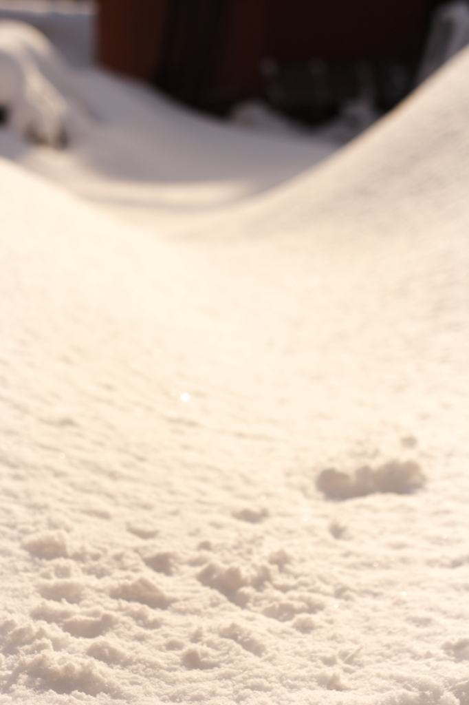 消雪難航