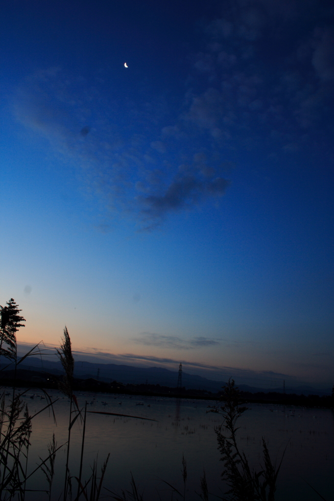 夜明けの月