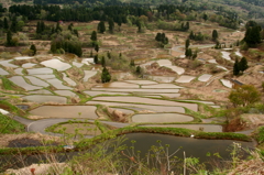 棚田 in Tokamachi