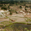 棚田 in Tokamachi