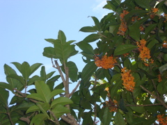 DSC00895