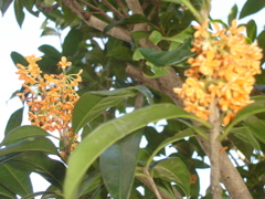 DSC00890
