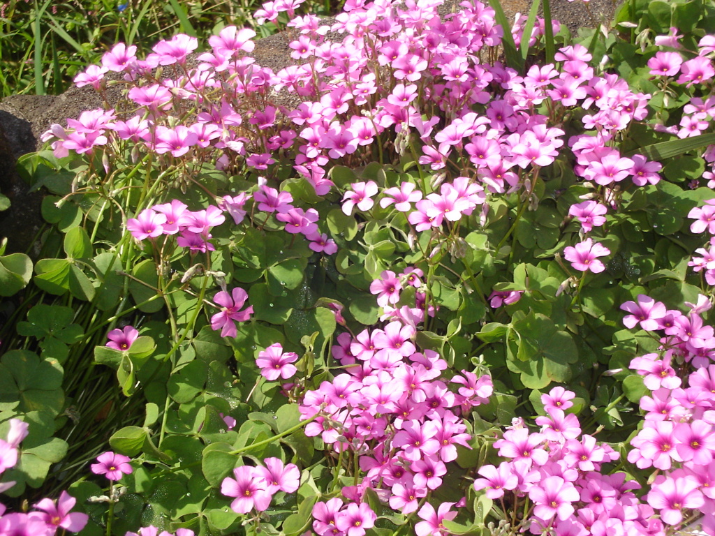 DSC00876