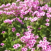 DSC00876
