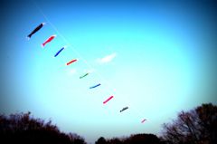 IMG_0504