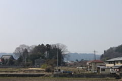 IMG_0380