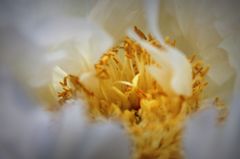 IMG_0798