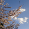 DSC00739