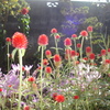 DSC00898