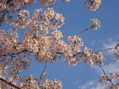 DSC00740