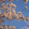 DSC00740