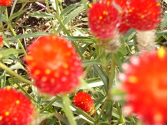 DSC00899