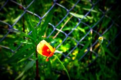 IMG_0855