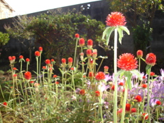 DSC00897